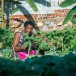 Ban-Ki-Moon Elevating the Voices Of Women In Agriculture Changemakers