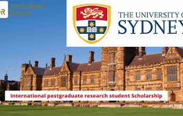 Sydney International Undergraduate Academic Excellence Scholarship