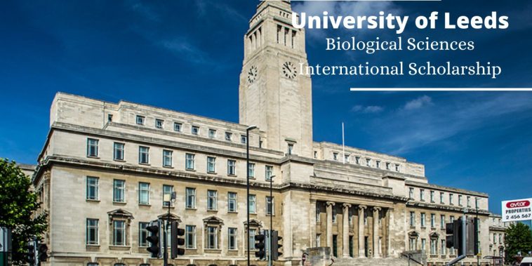 University of Leeds Undergraduate Scholarship