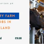 Dairy Farm Jobs in Ireland Visa Sponsorship for Foreigners