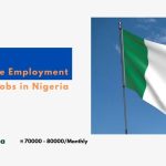 Graduate Employment Scheme Jobs in Nigeria 2024