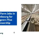 Poultry Farm Jobs in Luxembourg for Foreigners Visa Sponsorship