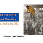 Visa Sponsorship Assistant Poultry Workers Jobs in UK 2024