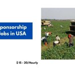 Visa Sponsorship Farm Jobs in USA 2024 – Apply Now