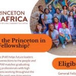 Princeton in Africa Fellowships