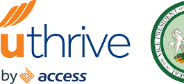 Access Bank Youthrive Program