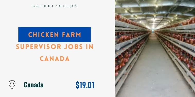 Chicken Farm Supervisor Jobs in Canada 2024 – Apply Online