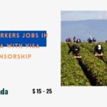 Farm Workers Jobs in Canada with Visa Sponsorship 2024