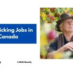 Fruit Picking Jobs in Canada 2024 – Apply Now