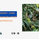 Latest Berry Farm Jobs in Canada with LMIA Approval 2024