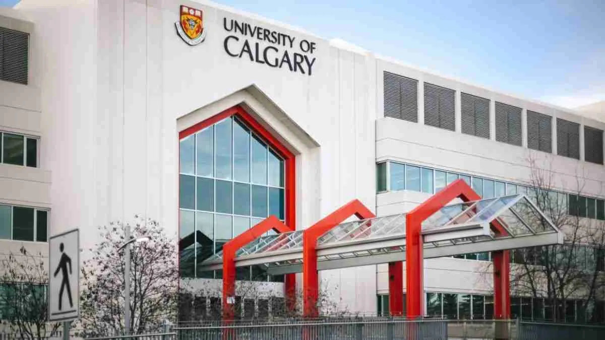 University of Calgary Undergraduate Scholarship