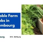 Vegetable Farm Jobs in Luxembourg 2024 – Visa Sponsorship