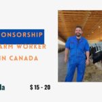 Visa Sponsorship Dairy Farm Worker Jobs in Canada 2024