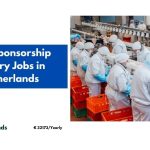 Visa Sponsorship Factory Jobs in Netherlands 2024