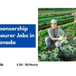 Visa Sponsorship Farm Labourer Jobs in Canada 2024