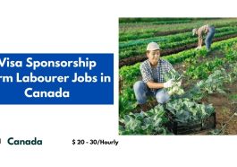 Visa Sponsorship Farm Labourer Jobs in Canada 2024