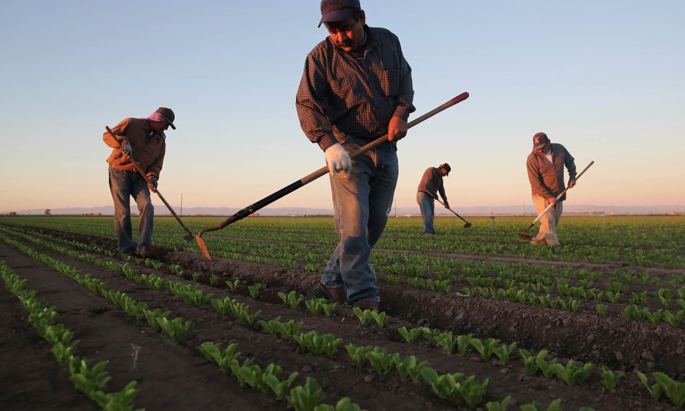 200+ General Farm Worker Jobs For Foreigners In Canada With Free Visa Sponsorship