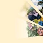 CIFOR-ICRAF Photo Competition