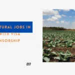 Agricultural Jobs in UK with Visa Sponsorship