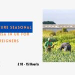 Agriculture Seasonal Work Visa in UK for Foreigners 2024