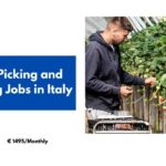 Fruit Picking and Packing Jobs in Italy 2024 – Visa Sponsorship