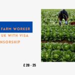 General Farm Worker Jobs in UK with Visa Sponsorship 2024