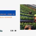 Latest Farming Jobs in Australia Summer 2024 – Apply Now