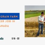 Latest Grain Farm Worker Job in Canada 2024 (22$ Hourly)