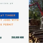 Norway Timber Industry Jobs With Work Permit