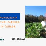 Visa Sponsorship Agriculture Farming Jobs in Canada 2024