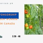 Visa Sponsorship Fruit Farm Worker Jobs in Canada 2024