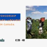 Visa Sponsorship General Farm Labourer Jobs in Canada 2024