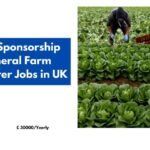 Visa Sponsorship General Farm Labourer Jobs in UK 2024