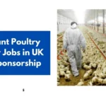 Assistant Poultry Worker Jobs in UK Visa Sponsorship