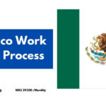 Mexico Work Visa Process 2024 – Apply Now