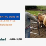 Dairy Farming Jobs in New Zealand Visa Sponsorship